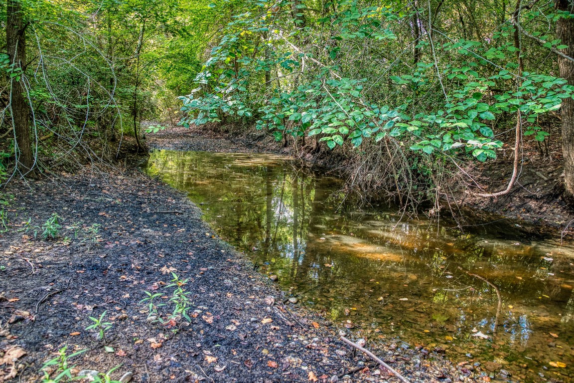 515 Highway 543 Loop West Point, TX 78963 - Photo 4 of 37 a view of a yard with plants and large trees