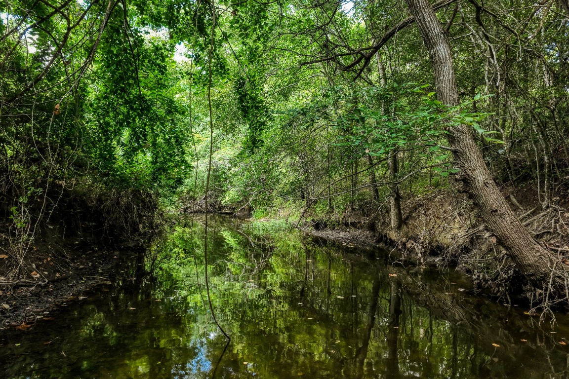 515 Highway 543 Loop West Point, TX 78963 - Photo 5 of 37 a view of a lush green forest