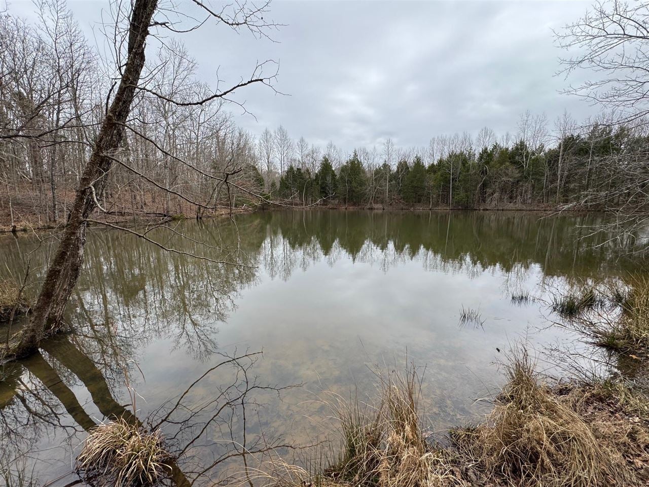 463 Charlie Shepard Road Morgantown, KY 42261 - Photo 15 of 81 Gallery Image 15