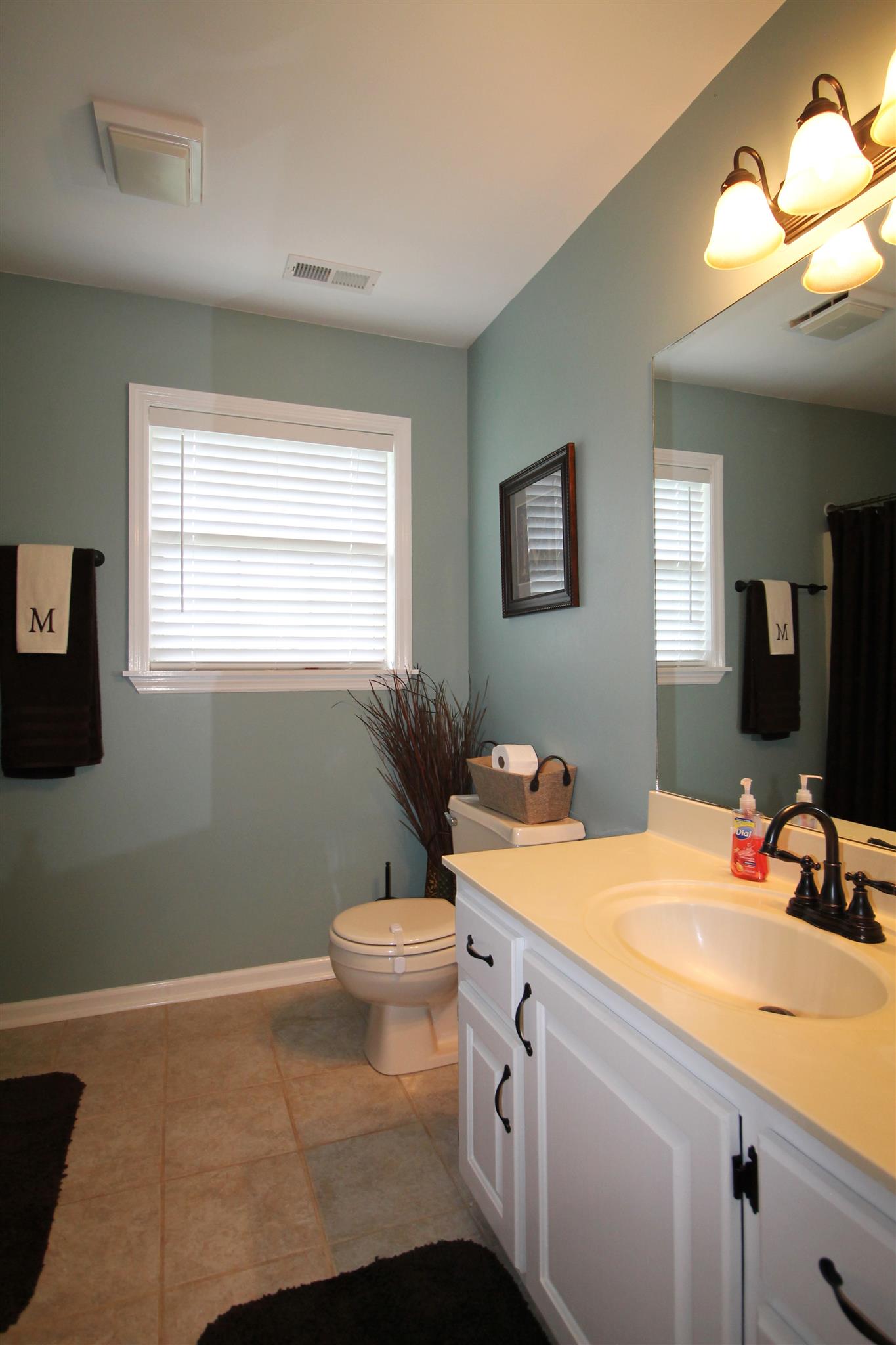 1539 West Harpeth Road Franklin, TN 37064 - Photo 18 of 30 a bathroom with a sink toilet vanity and mirror
