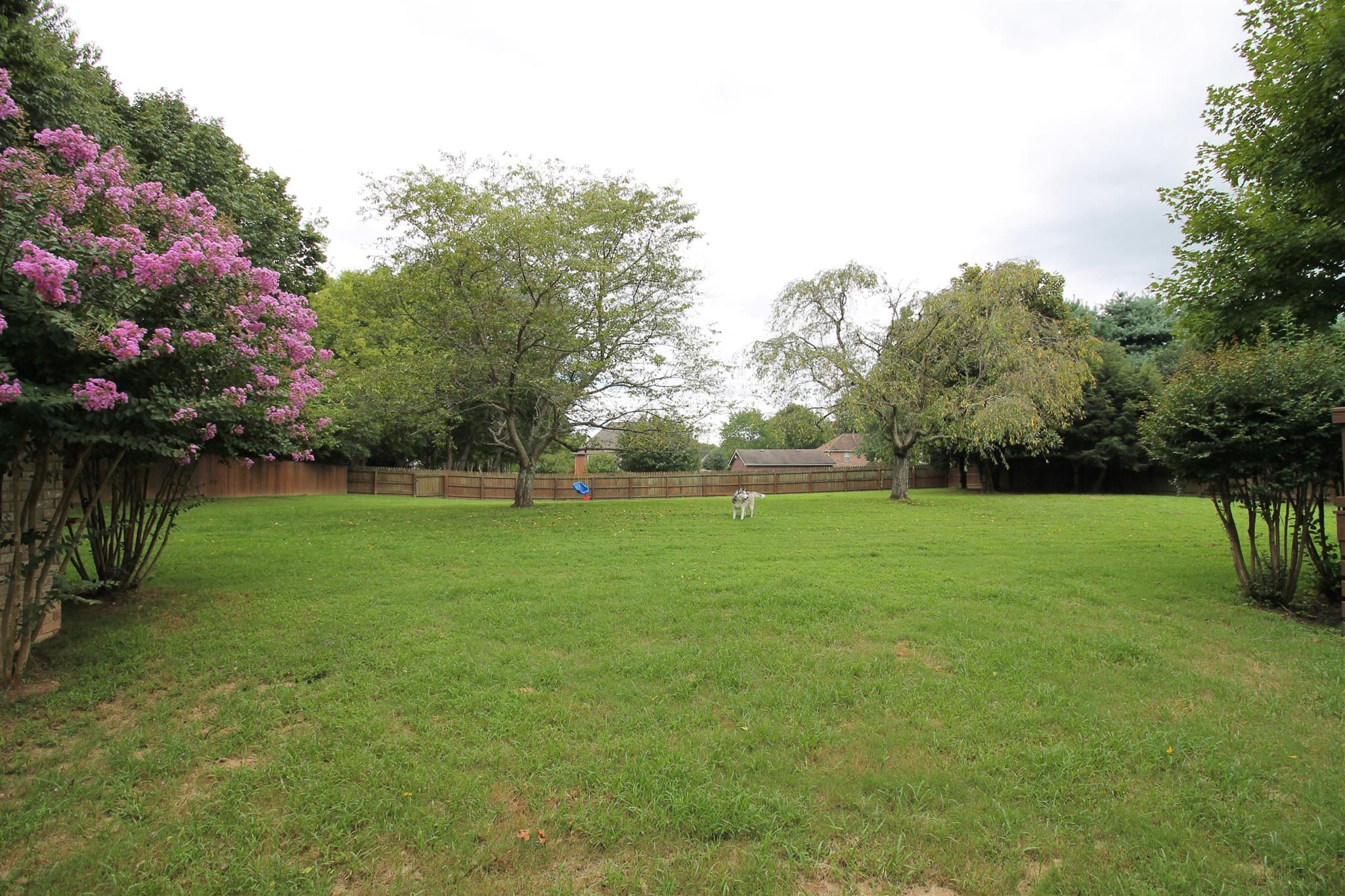 1539 West Harpeth Road Franklin, TN 37064 - Photo 30 of 30 a view of yard with green space