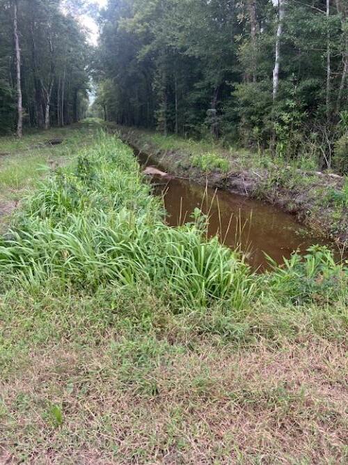 6572 North Highway 17 Awendaw, SC 29429 - Photo 2 of 5 6572 N Hwy 17 Awendaw (2)