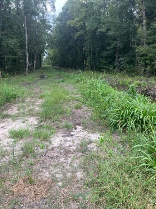 6572 North Highway 17 Awendaw, SC 29429 - Photo 3 of 5 6572 N Hwy 17 Awendaw (3)