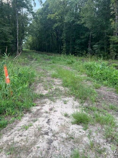 6572 North Highway 17 Awendaw, SC 29429 - Photo 5 of 5 6572 N Highway 17 (1)