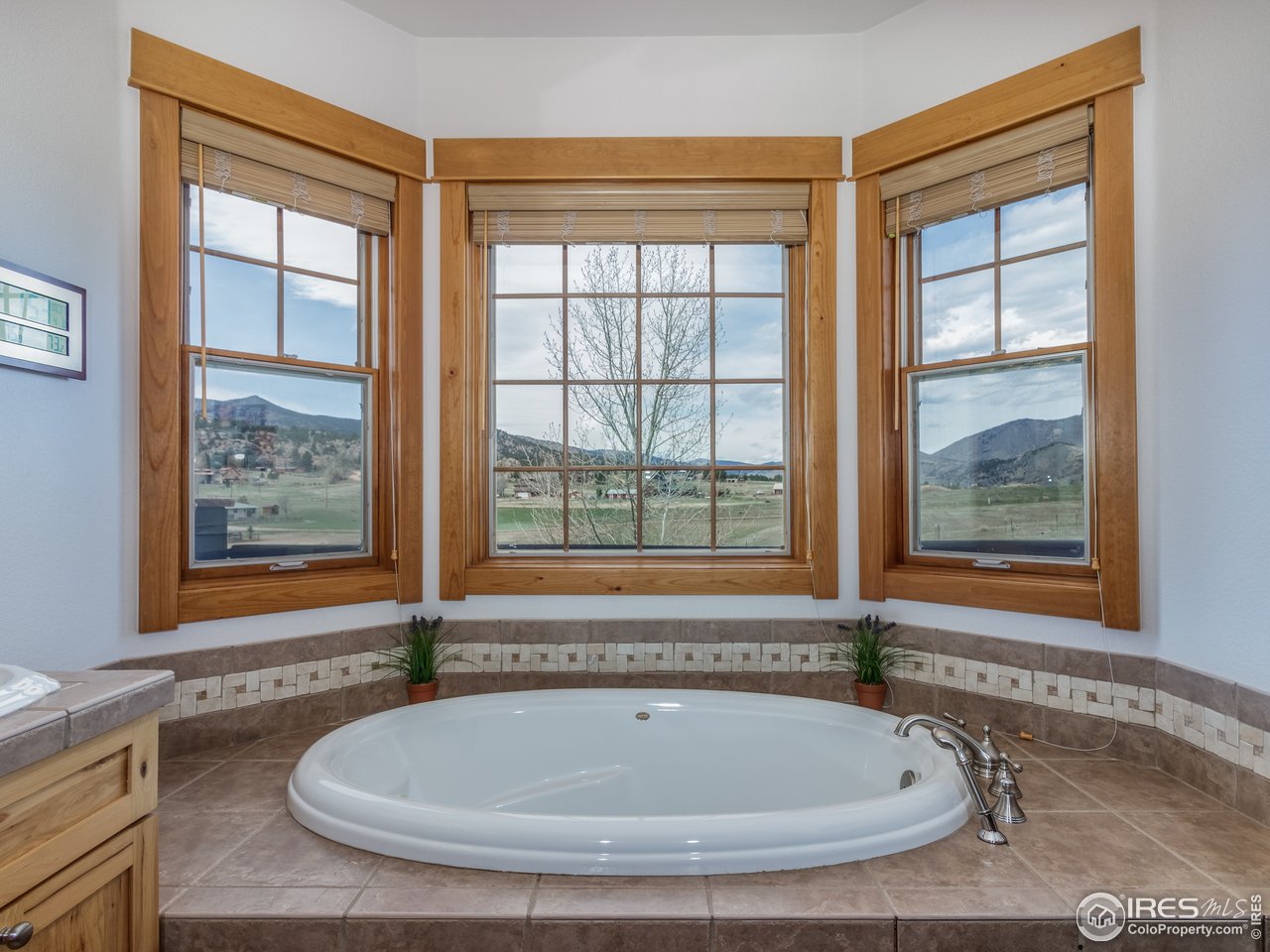 501 Blue Mountain Road Lyons, CO 80540 - Photo 16 of 29 Master bath