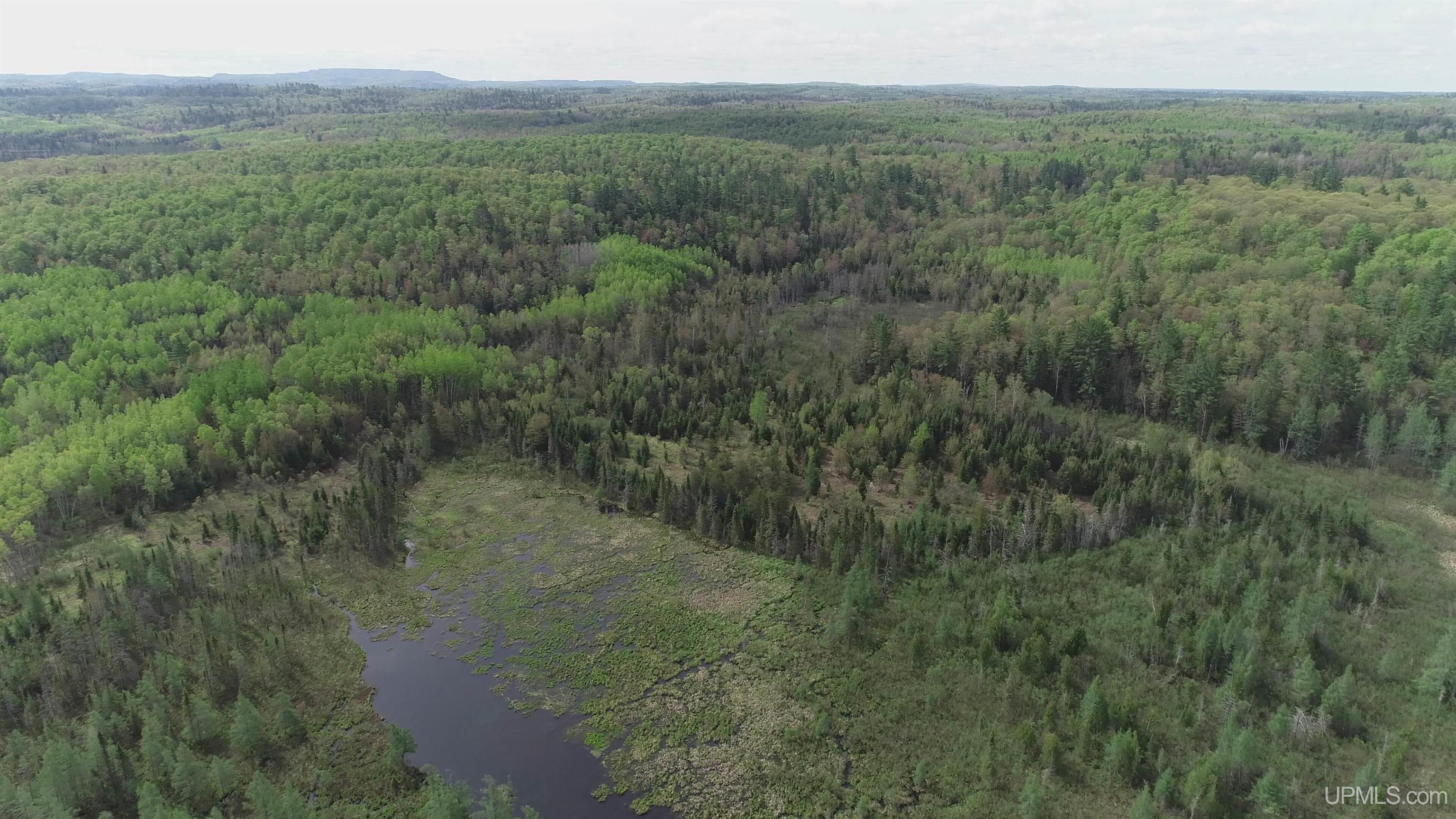 280-acres County Road CCN Road Negaunee, MI 49866 - Photo 9 of 48