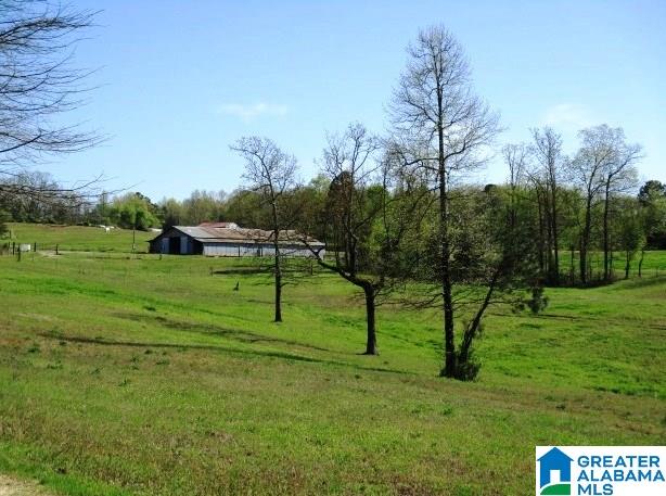 6971 Highway 24 Oneonta, AL 35121 - Photo 24 of 45