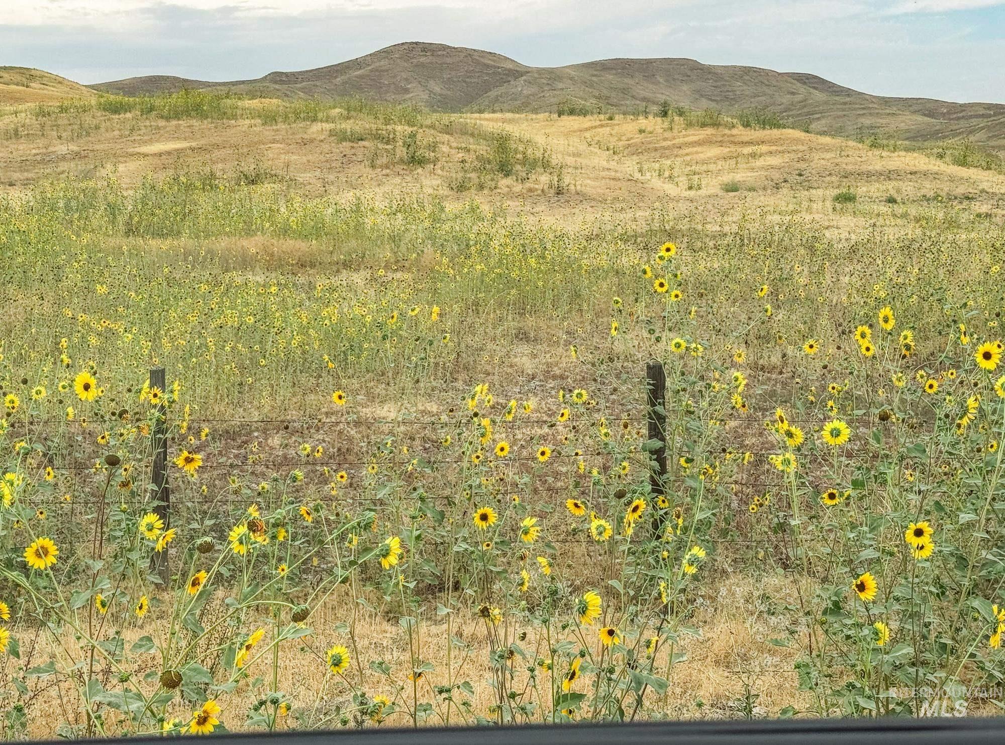 0 Stone Quarry Road Payette, ID 83661 - Photo 2 of 5 Mountain view