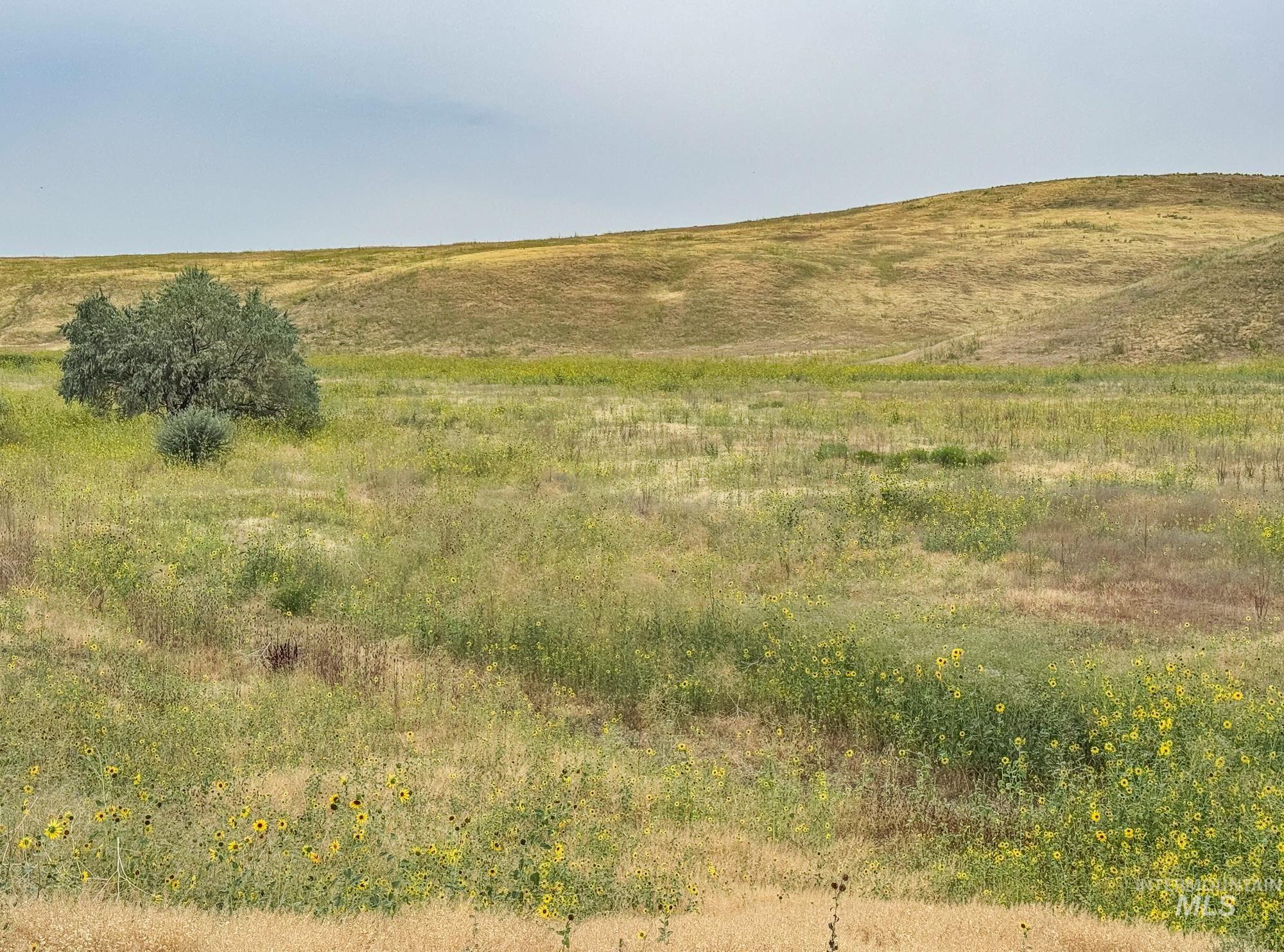 0 Stone Quarry Road Payette, ID 83661 - Photo 3 of 5 View of local wilderness featuring rural landscape
