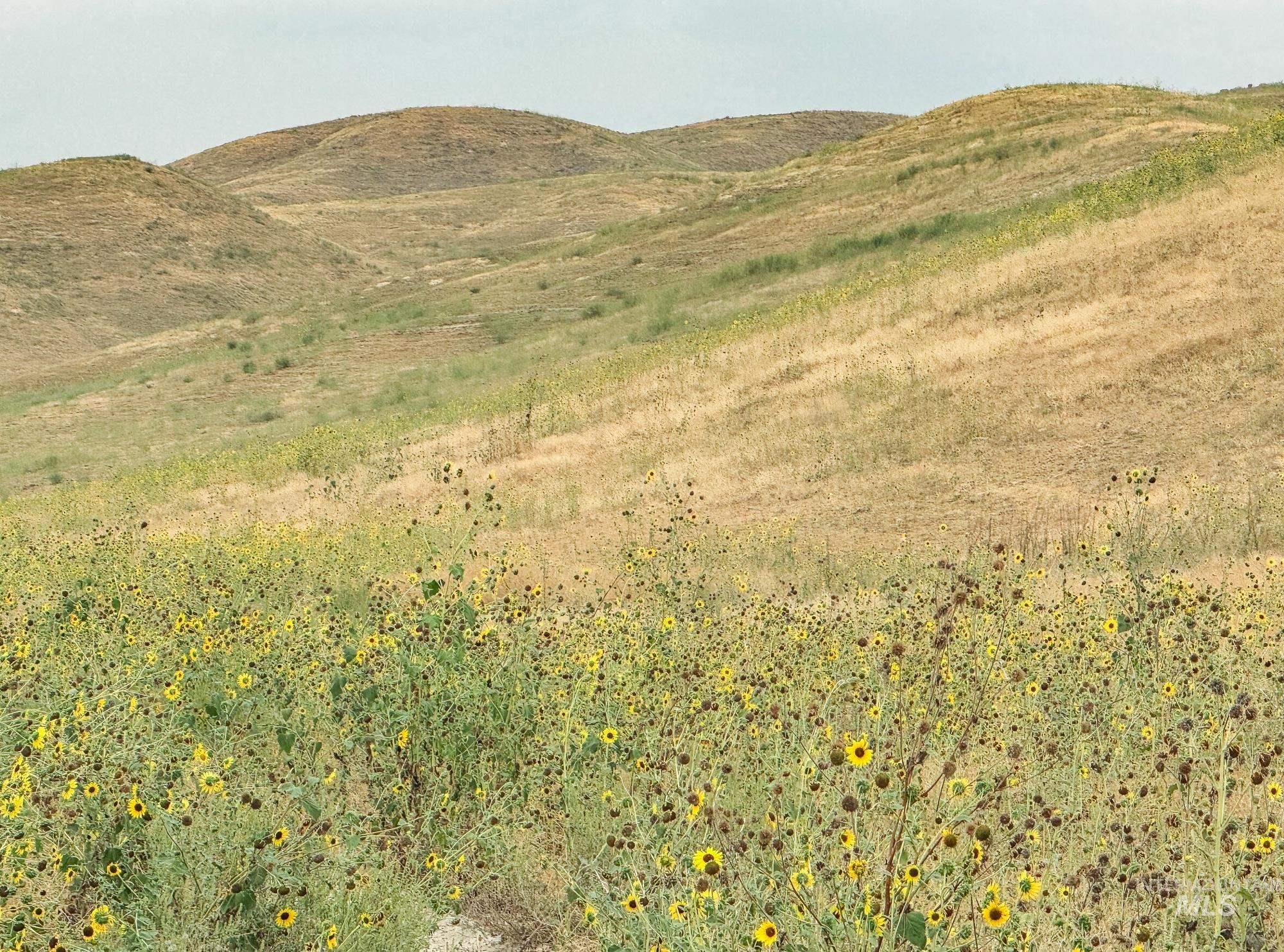 0 Stone Quarry Road Payette, ID 83661 - Photo 4 of 5 View of mountain background