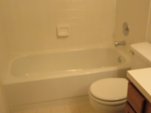 2116 Peach Tree Lane, Unit 4243 Algonquin, IL 60102 - Photo 23 of 25 a bathroom with a toilet and a bathtub