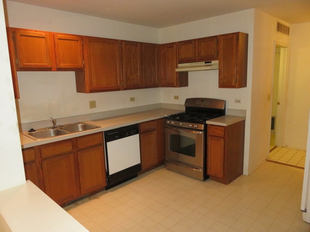 2116 Peach Tree Lane, Unit 4243 Algonquin, IL 60102 - Photo 9 of 25 a kitchen with stainless steel appliances a stove sink and cabinets