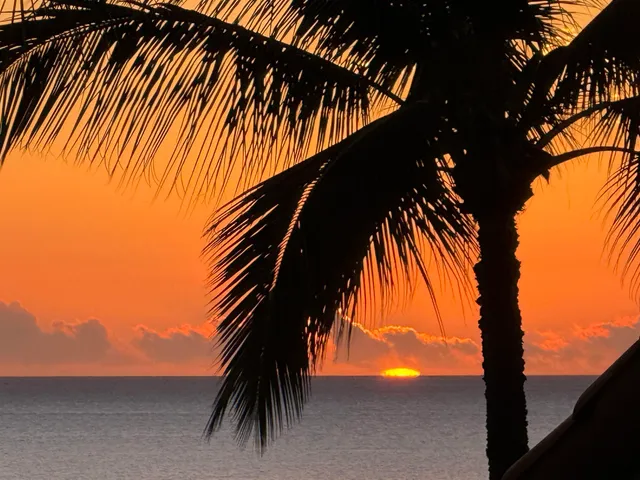 a view of small yard