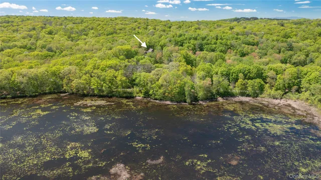 a view of a yard with an plants and trees