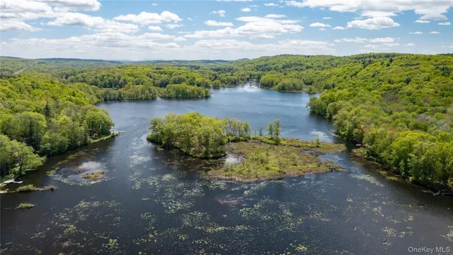 a view of a lake with a mountain