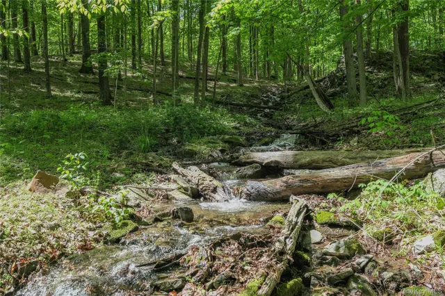 a view of a lush green forest with lots of trees