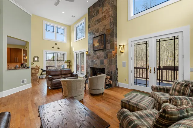 a living room with furniture or couch and a fireplace