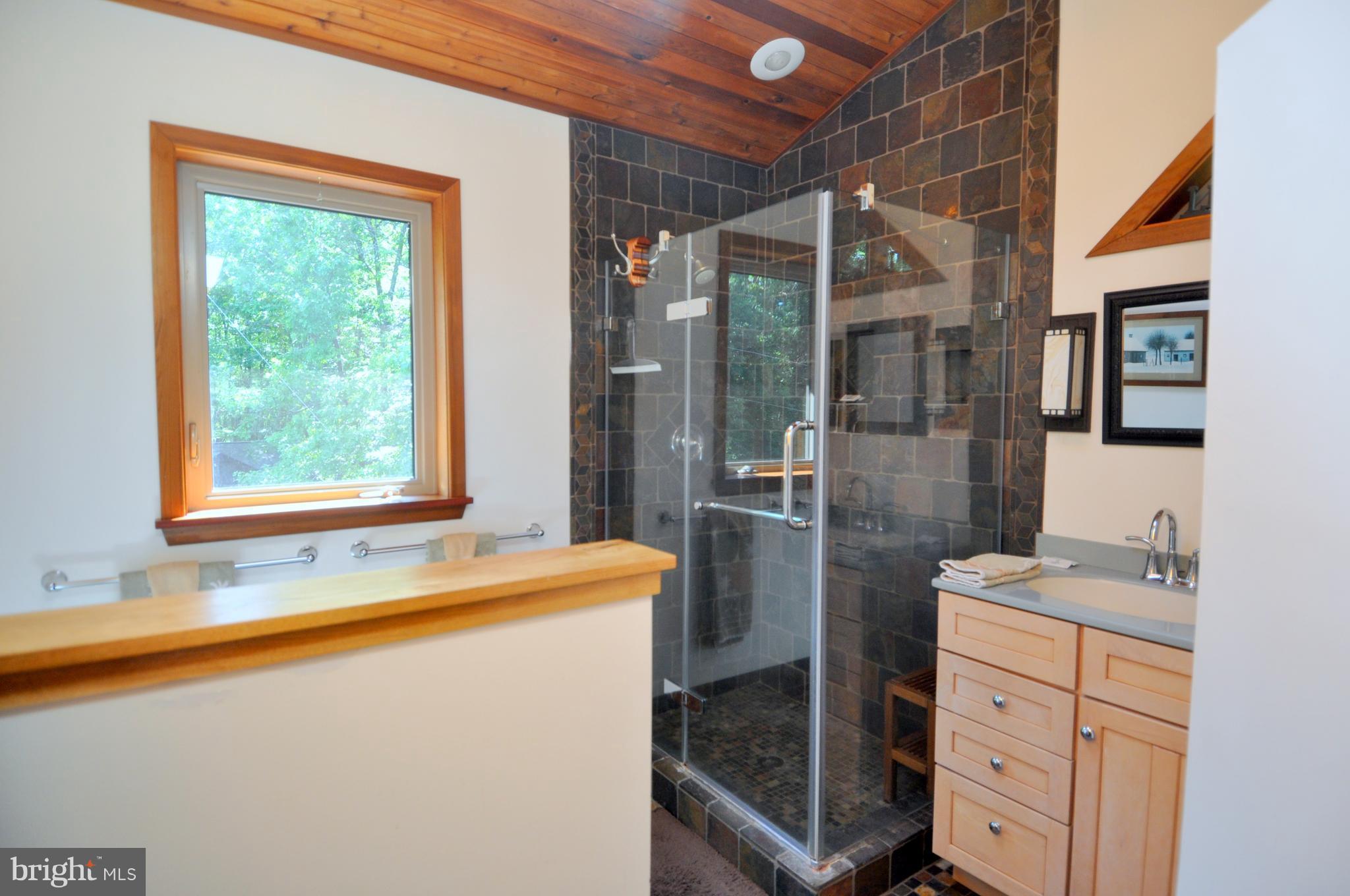 1352 Virginia Line-Potomac Road Berkeley Springs, WV 25411 - Photo 22 of 32 a bathroom with a tub sink shower and mirror