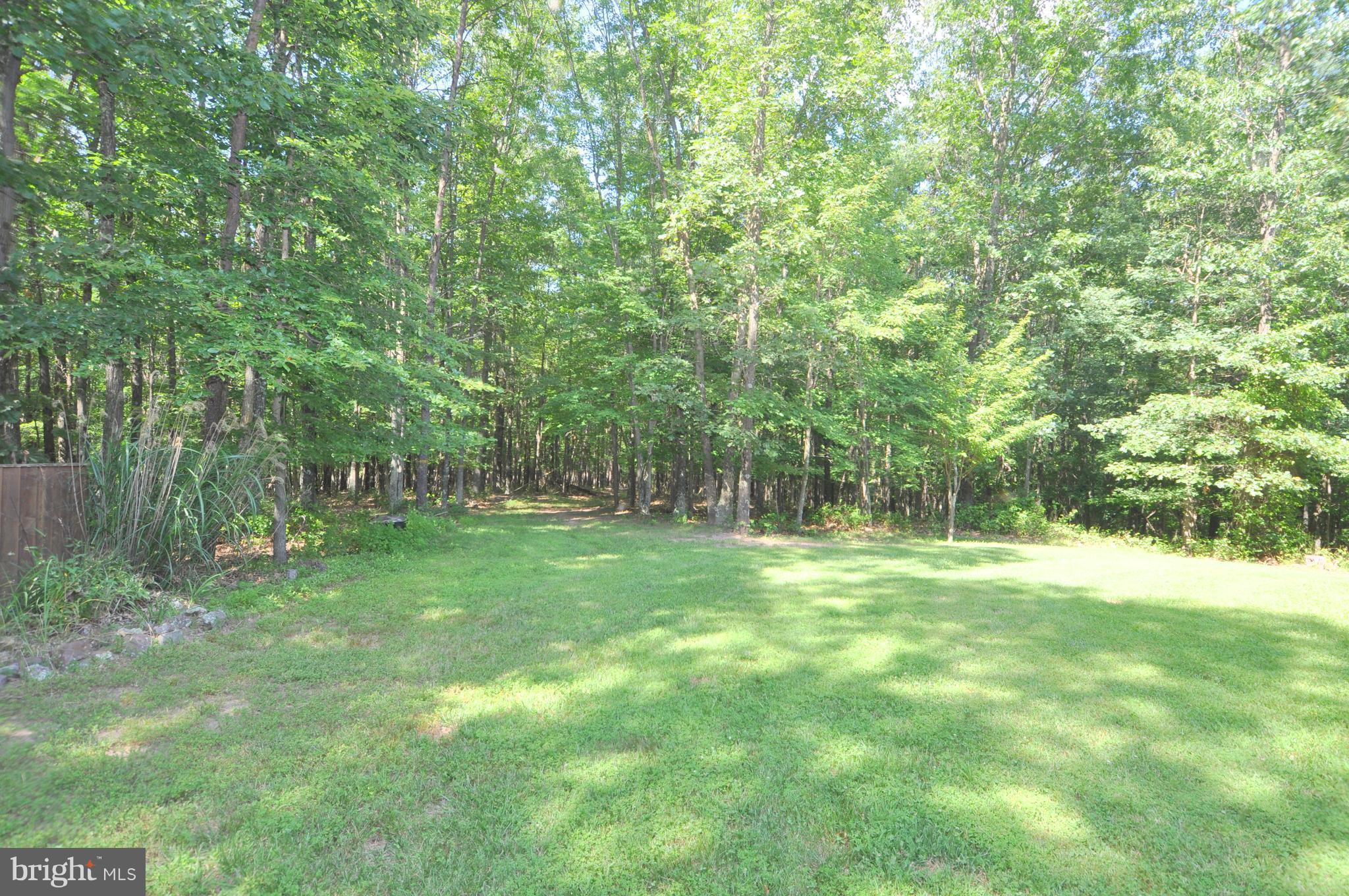 1352 Virginia Line-Potomac Road Berkeley Springs, WV 25411 - Photo 7 of 32 a view of outdoor space with green field and trees all around