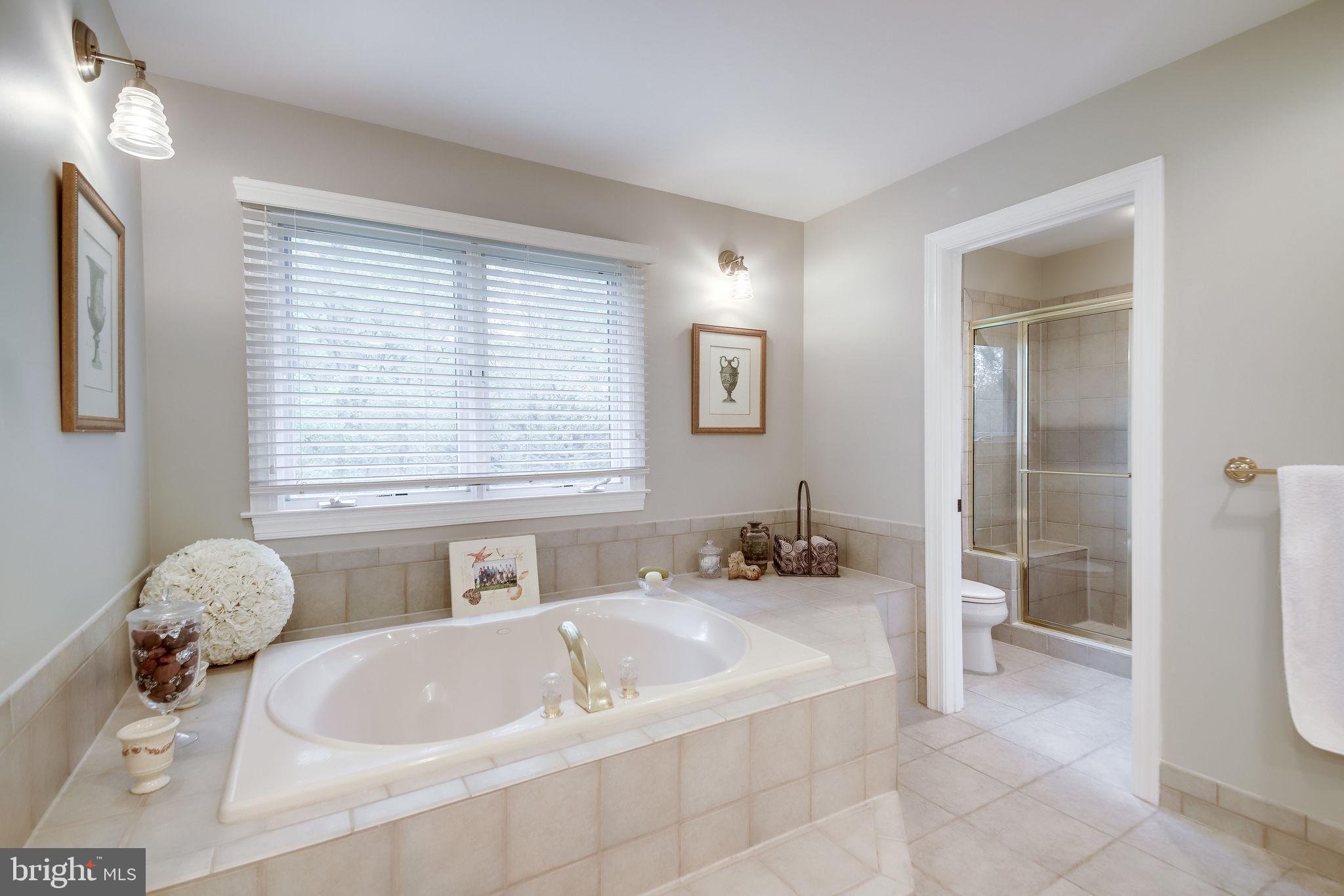 1159 B Fieldview Drive Reston, VA 20194 - Photo 40 of 67 Separate soaking tub & shower