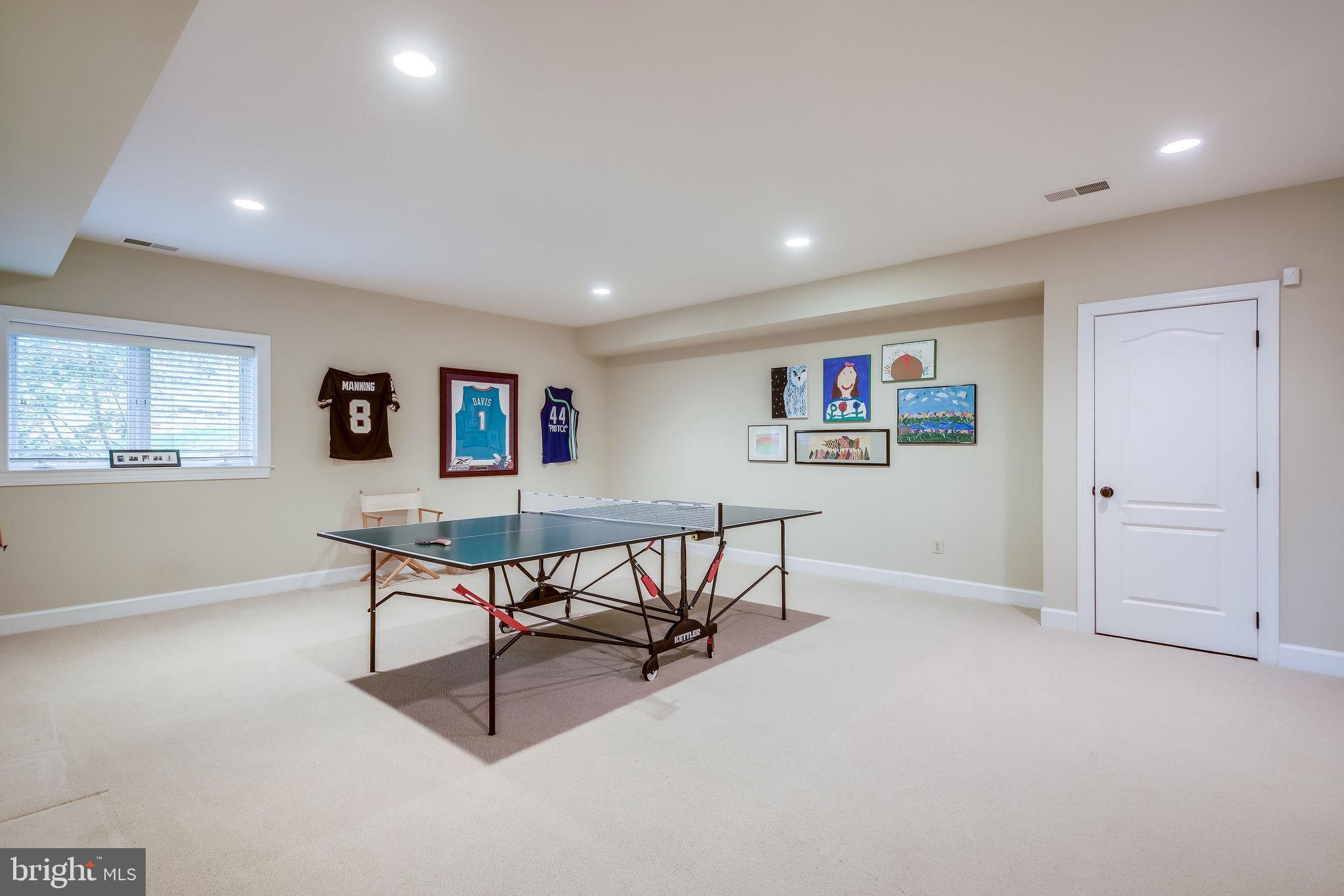 1159 B Fieldview Drive Reston, VA 20194 - Photo 50 of 67 Expansive game area