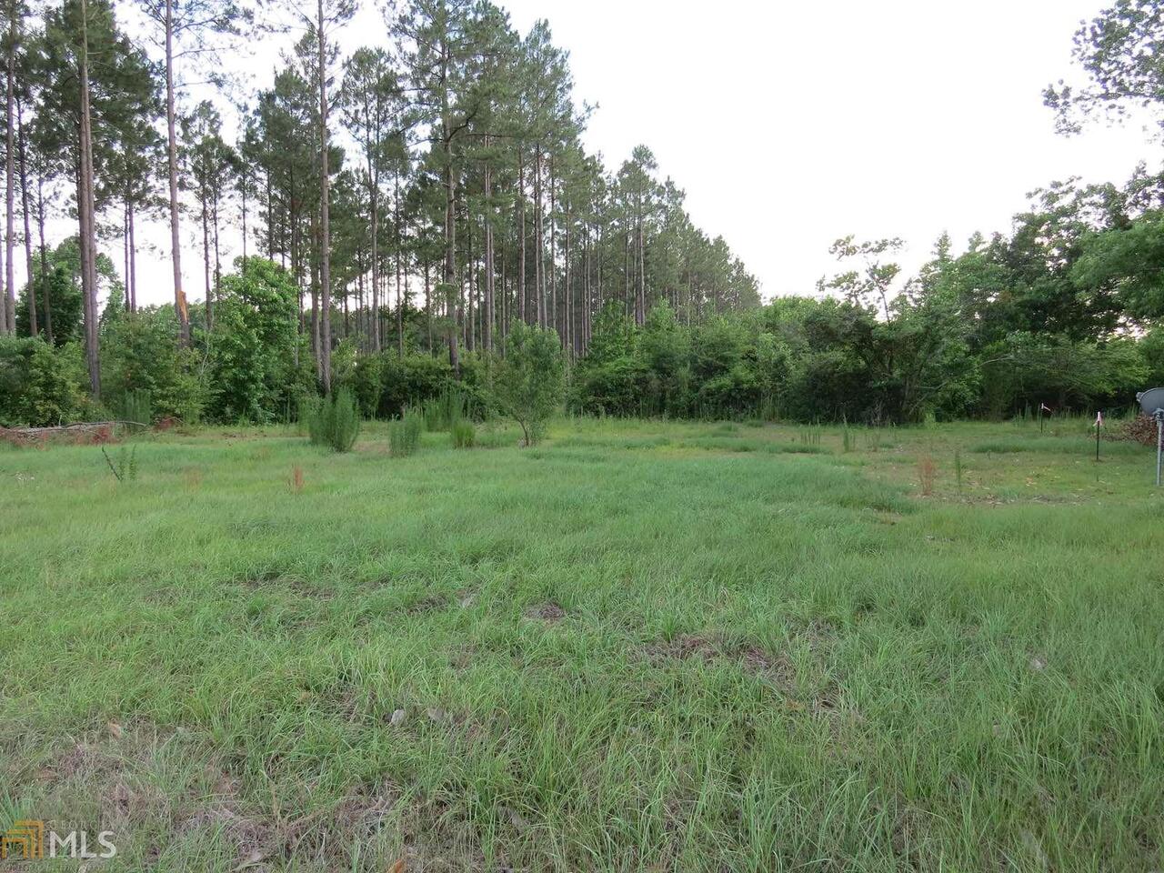 236 Yawn Road Jacksonville, GA 31544 - Photo 1 of 1 Gallery Image 1