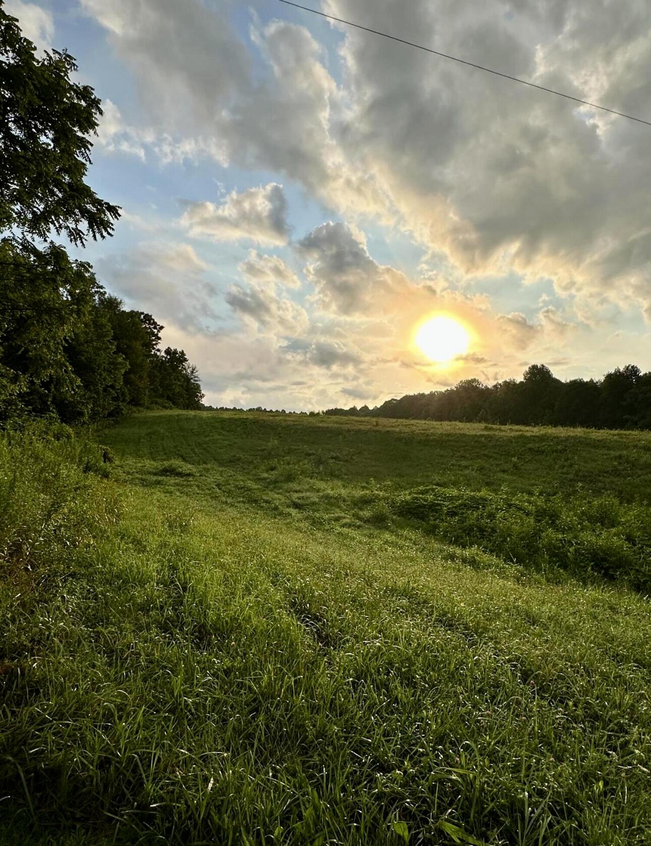 382 Beasley Road Nancy, KY 42544 - Photo 8 of 11 IMG_9759
