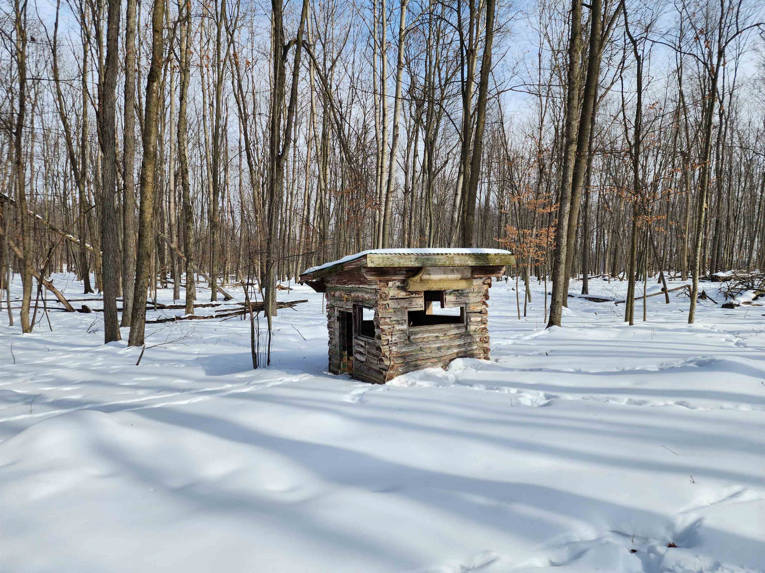 33-acres South Peoples Road Fenwick, MI 48834 - Photo 10 of 20