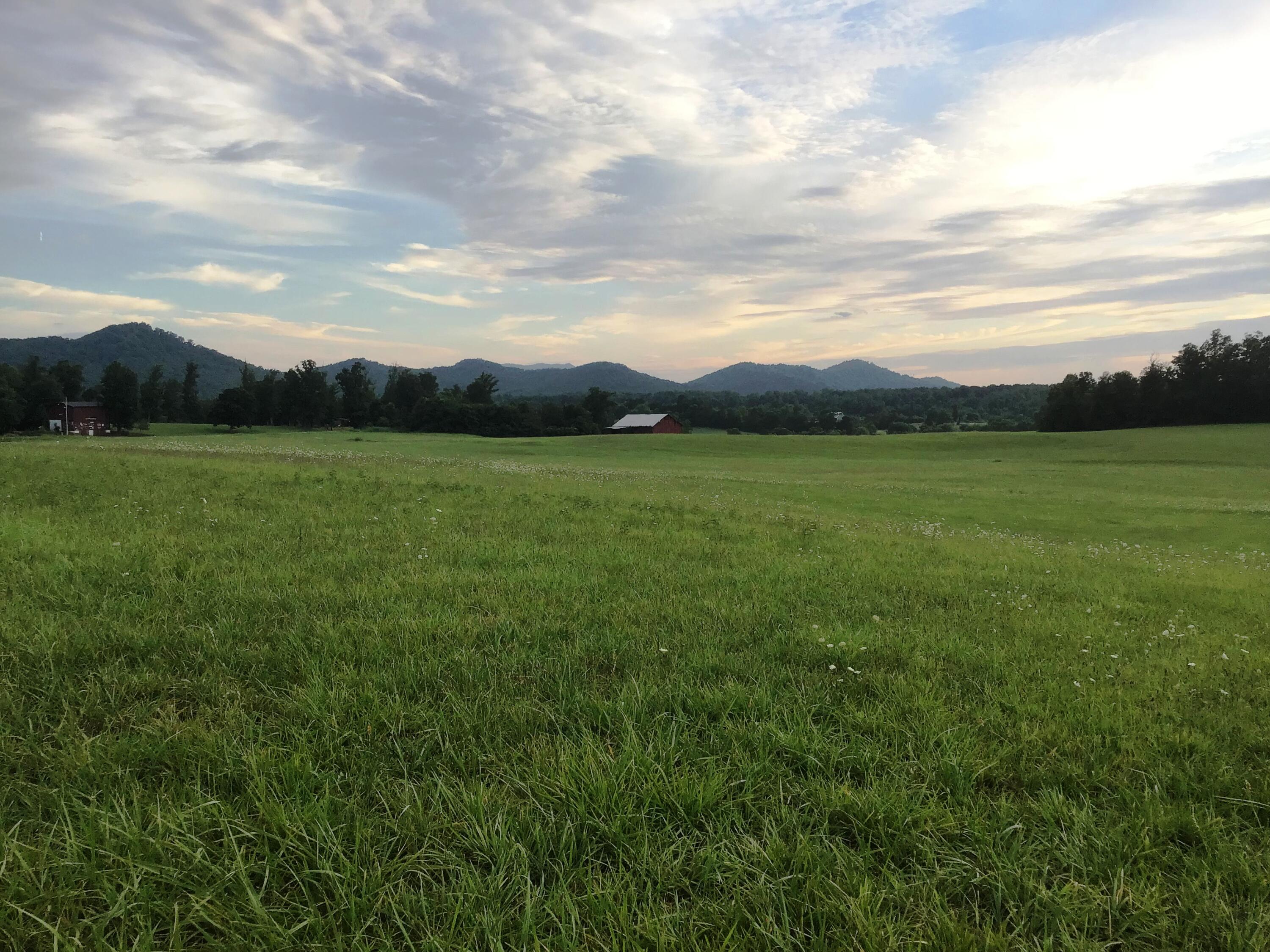 31 Woolsey College Road, Unit 31 Greeneville, TN 37743 - Photo 14 of 29 WC 11
