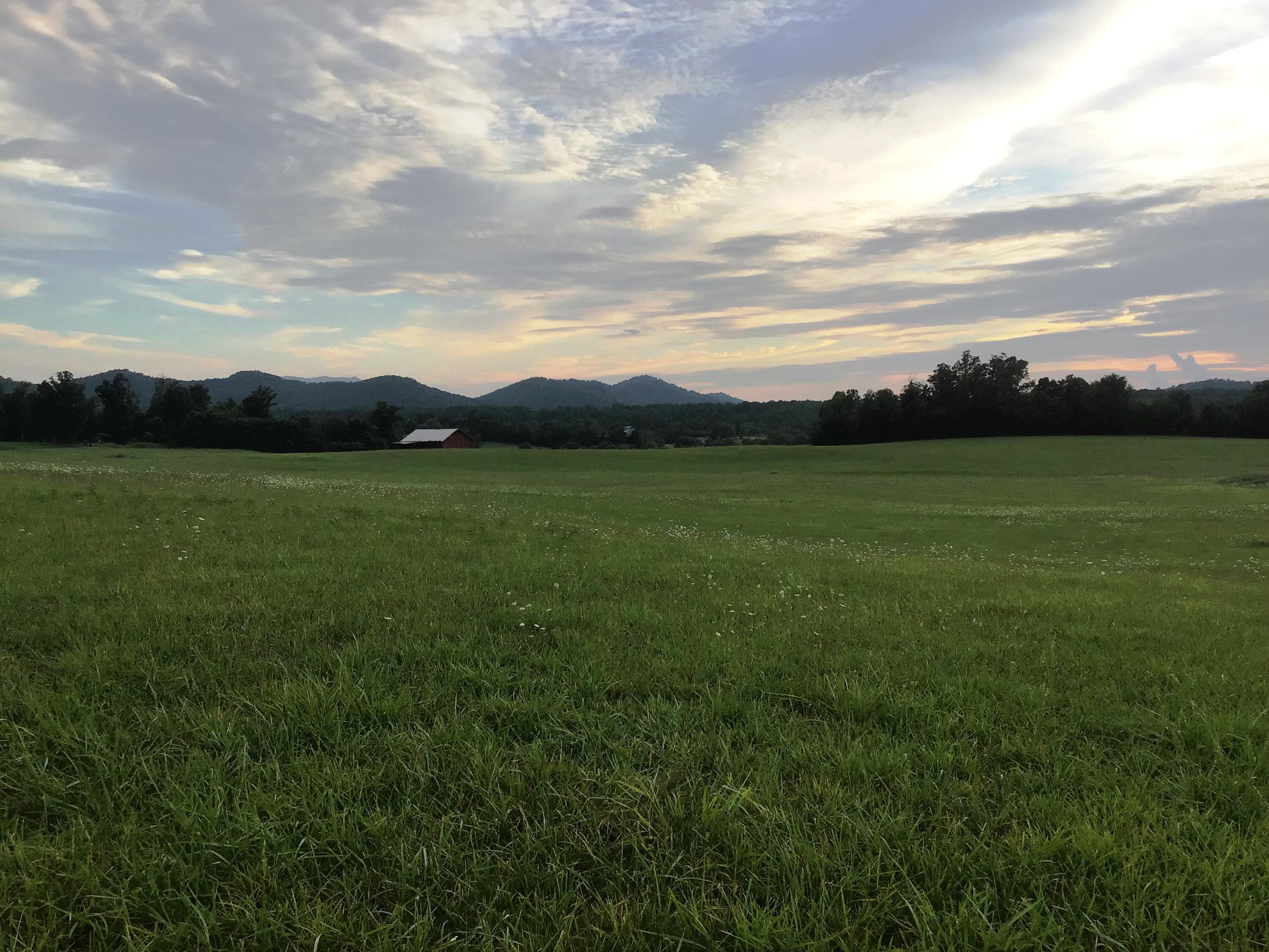 31 Woolsey College Road, Unit 31 Greeneville, TN 37743 - Photo 15 of 29 WC 12