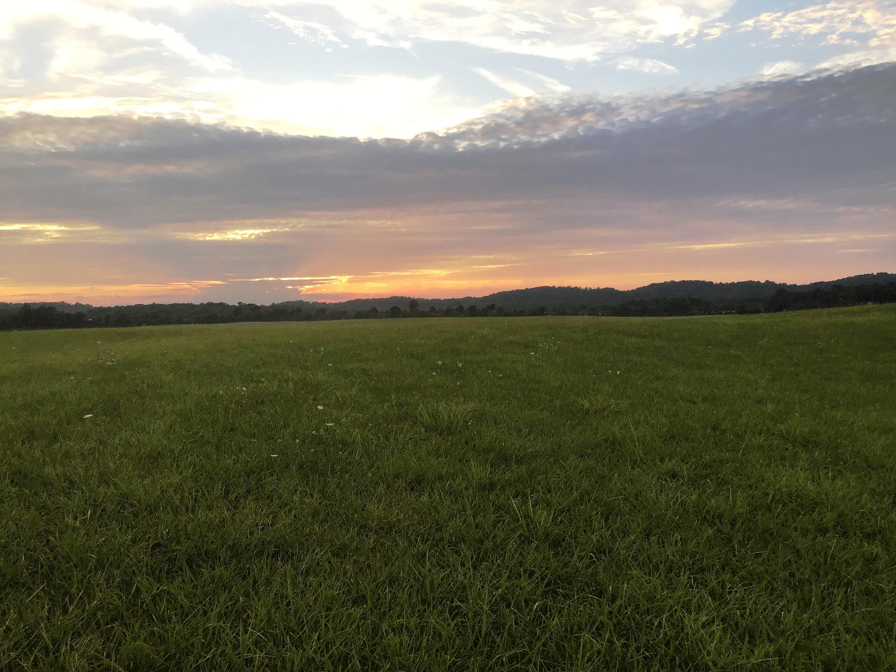 31 Woolsey College Road, Unit 31 Greeneville, TN 37743 - Photo 6 of 29 WC 1