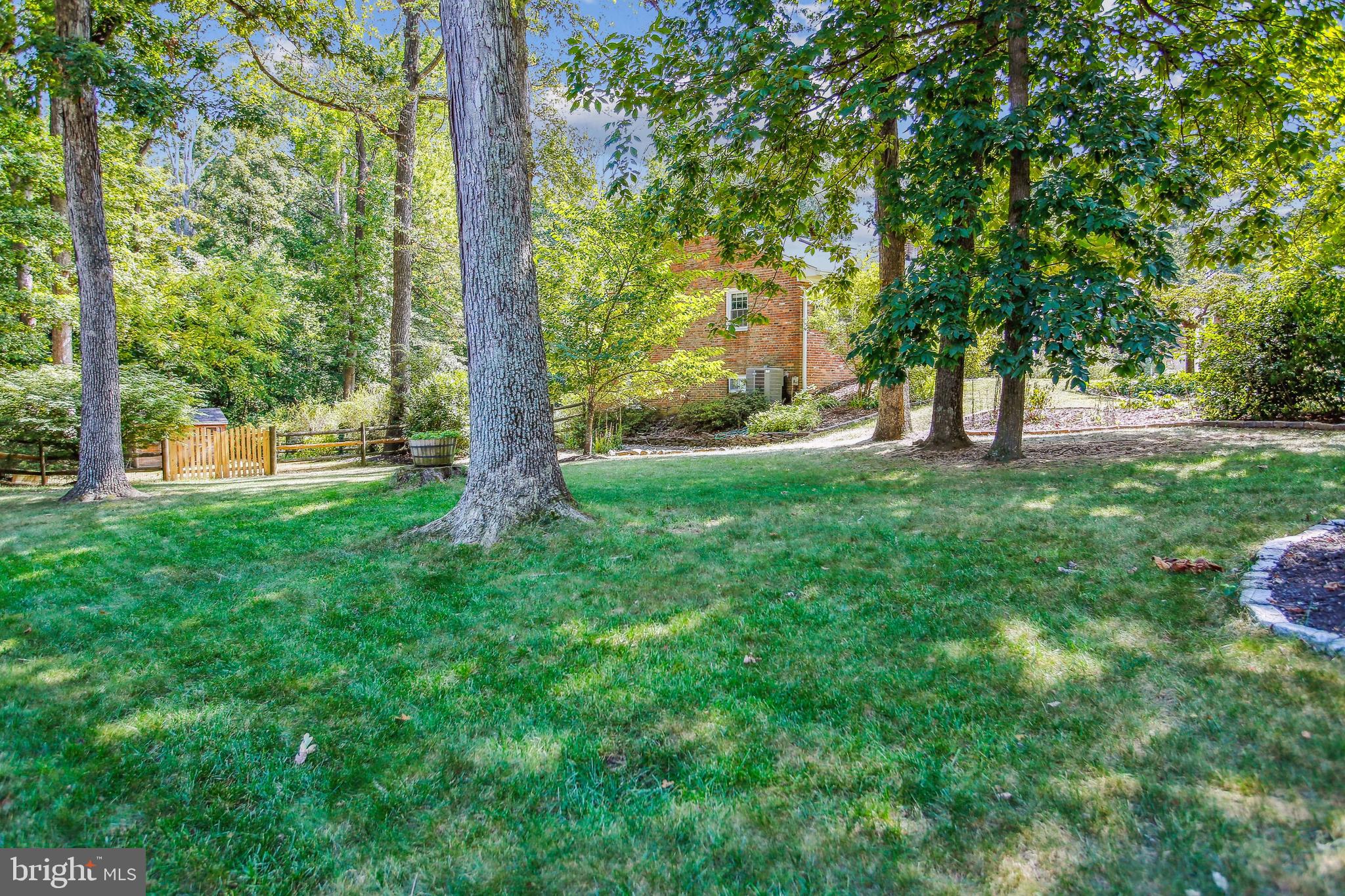 7009 Coventry Road Alexandria, VA 22306 - Photo 54 of 61 Side Yard