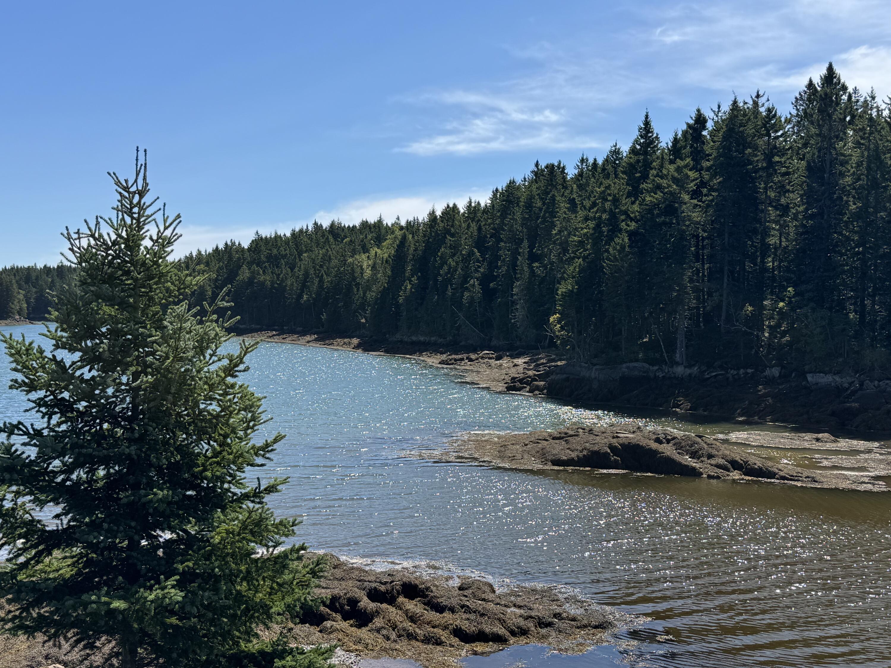 Lot 102.1 Dixie Road Lubec, ME 04652 - Photo 1 of 11 Property Waterfront to the right side of
