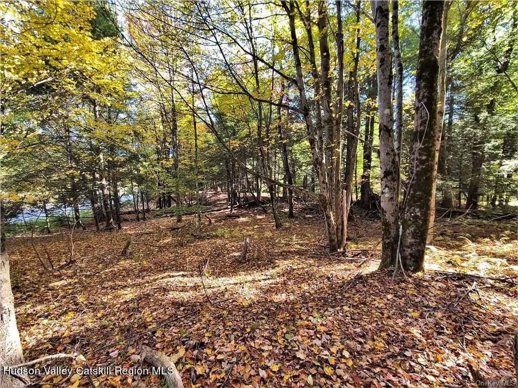 0 Kaufman Road Monticello, NY 12701 - Photo 45 of 49 GetMedia (31)
