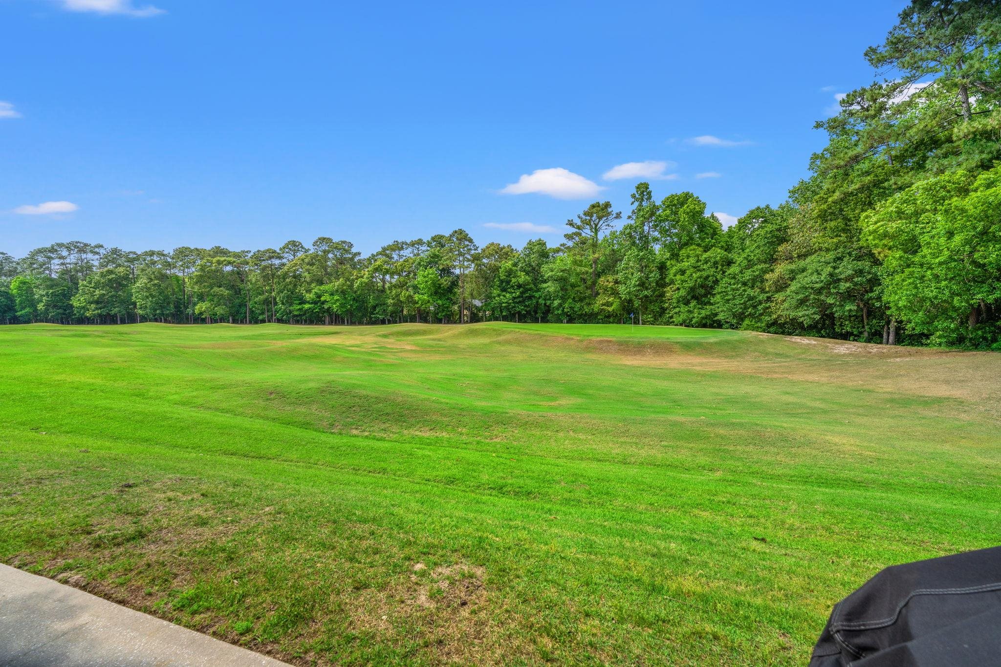 4654 Fringetree Drive, Unit 7E Murrells Inlet, SC 29576 - Photo 66 of 78
