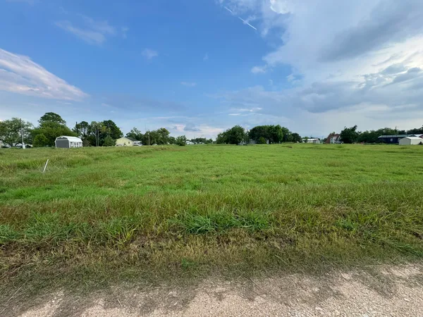 a view of a field with a tree in the background