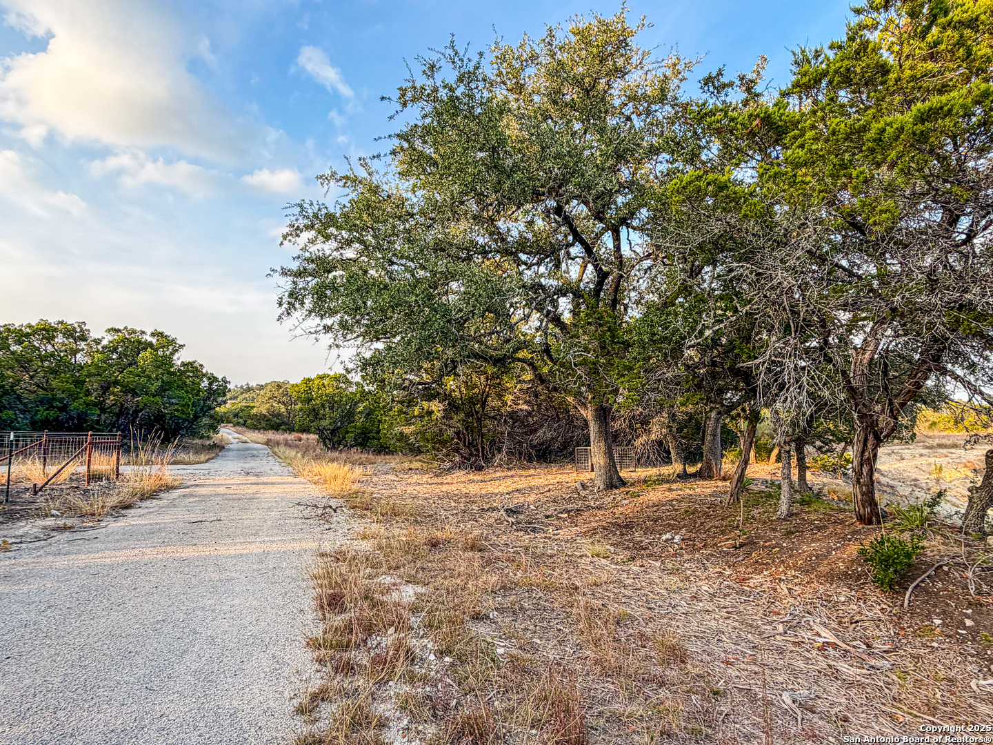 100-acres North Cranes Mill Road Canyon Lake, TX 78133 - Photo 12 of 21