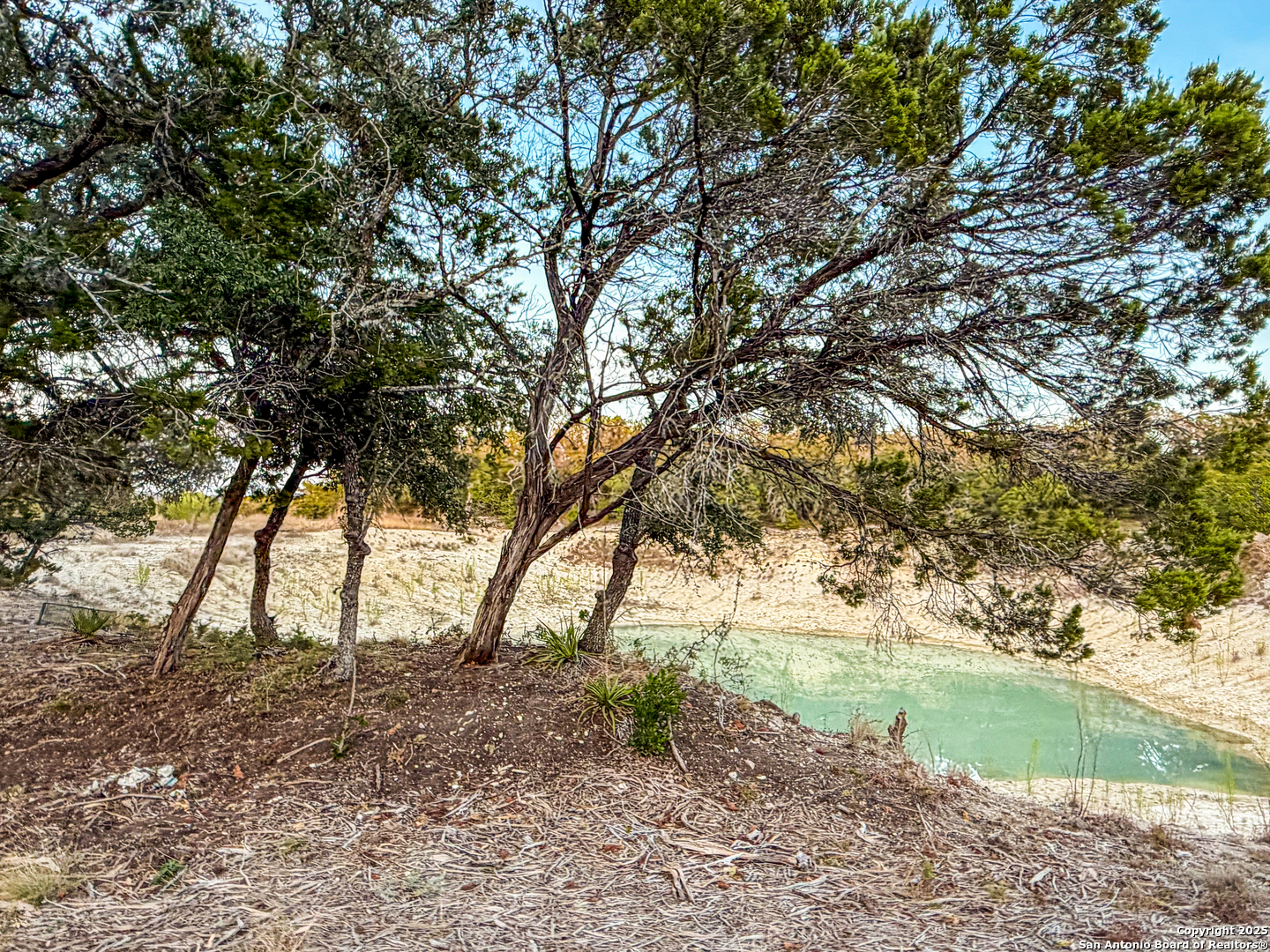 100-acres North Cranes Mill Road Canyon Lake, TX 78133 - Photo 5 of 21
