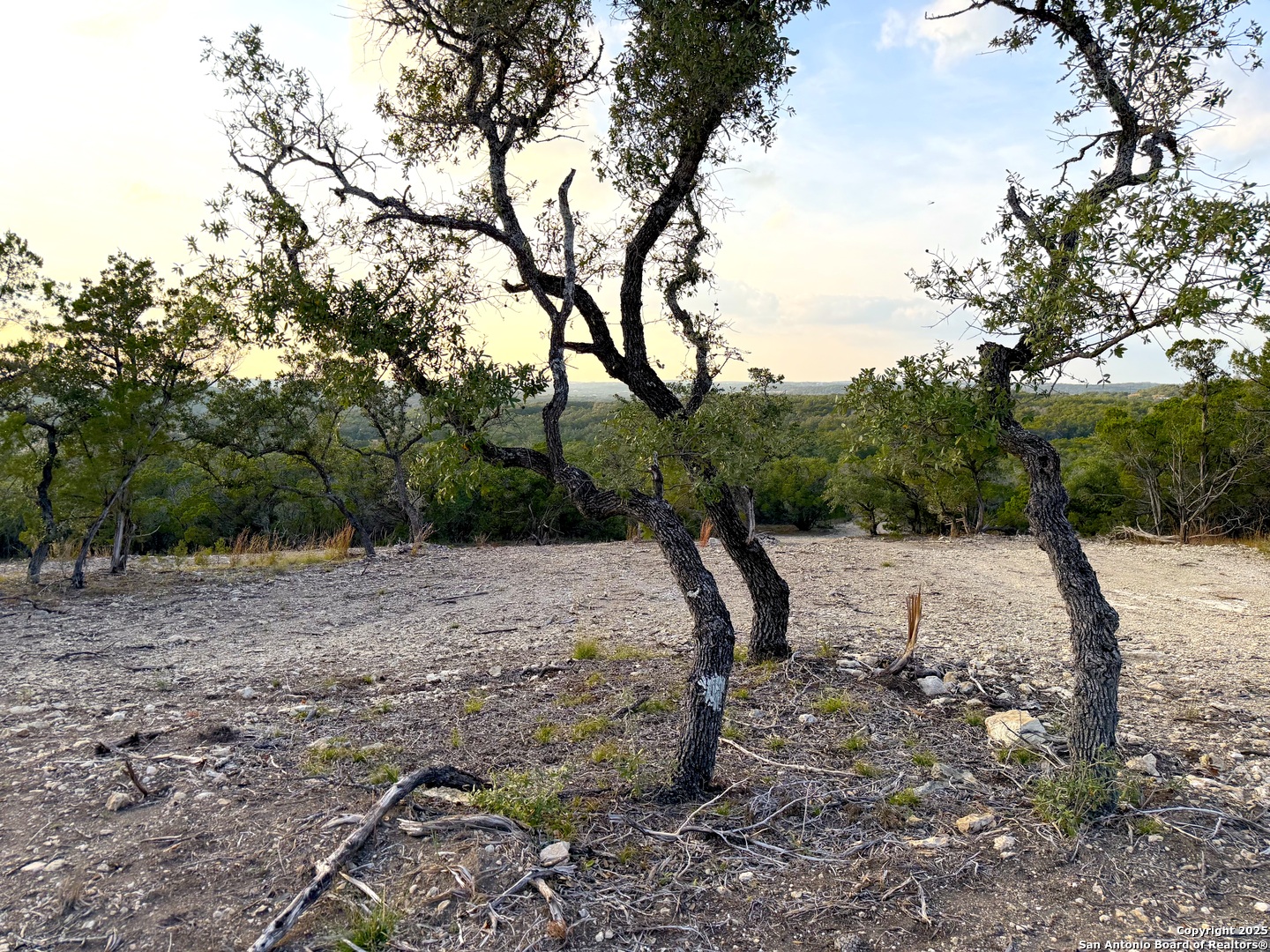 100-acres North Cranes Mill Road Canyon Lake, TX 78133 - Photo 10 of 21
