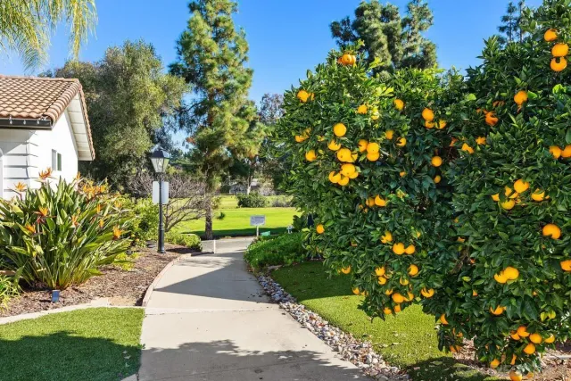 $1,185,000 | 12039 Caminito Cadena, San Diego, CA 92128