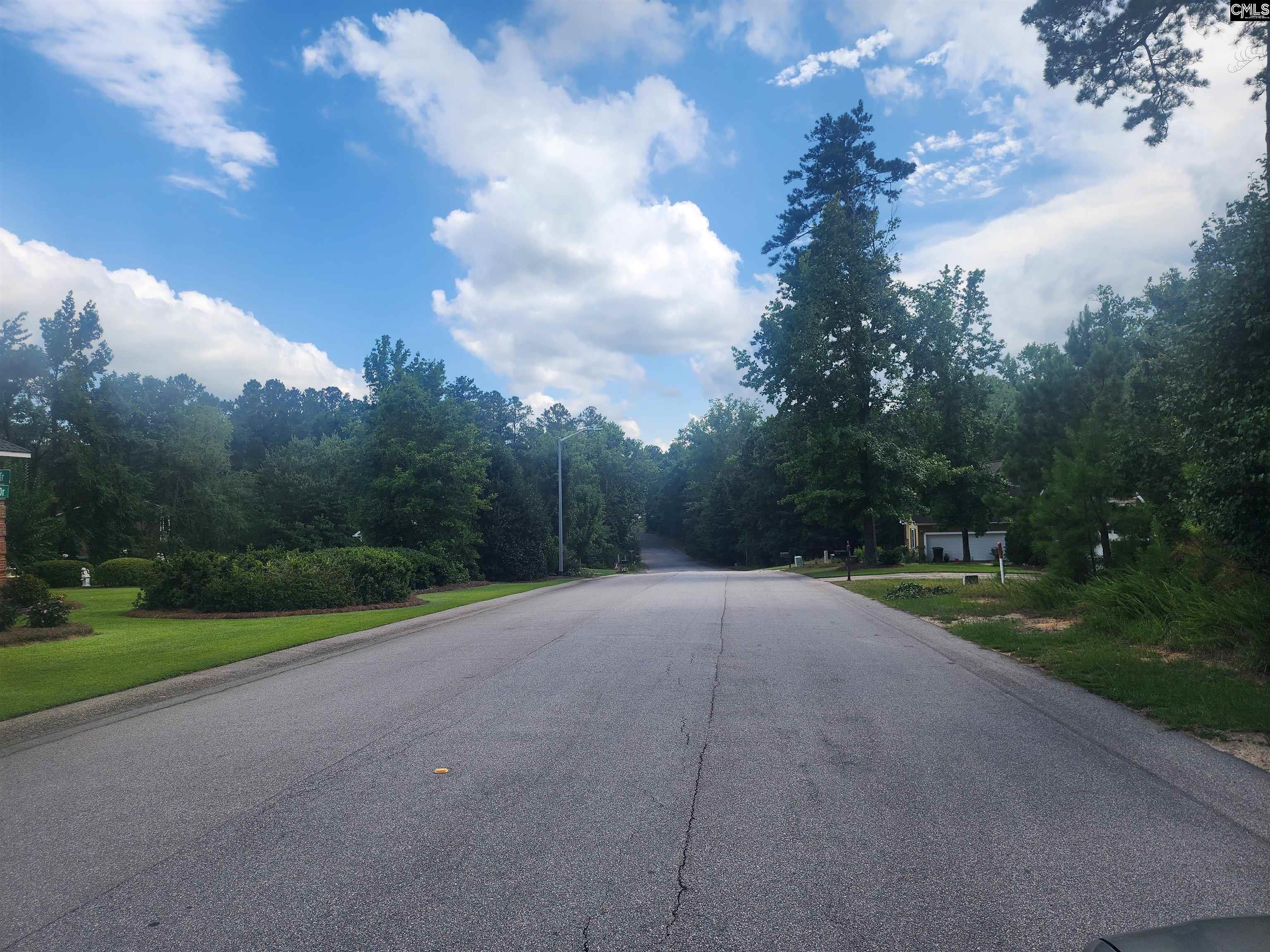 Forest Ridge Drive Newberry, SC 29108 - Photo 3 of 3