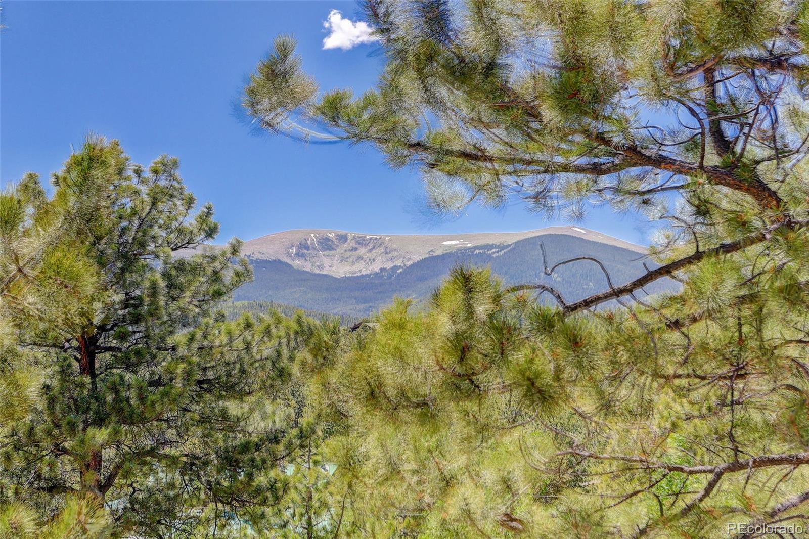 606 Clark Road Bailey, CO 80421 - Photo 7 of 40