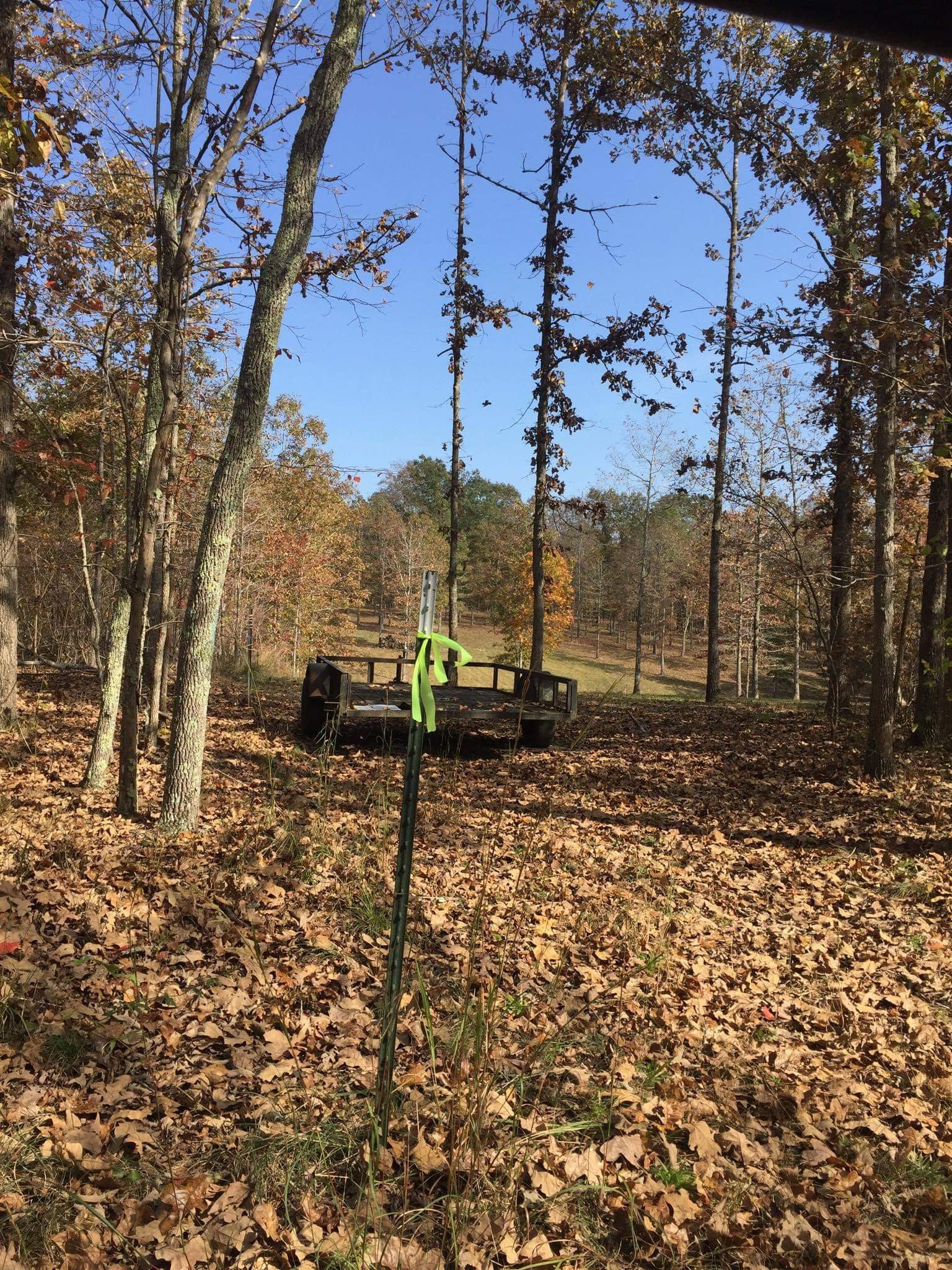 0 Lost Arrowhead Road Summertown, TN 38483 - Photo 1 of 4 Gallery Image 1