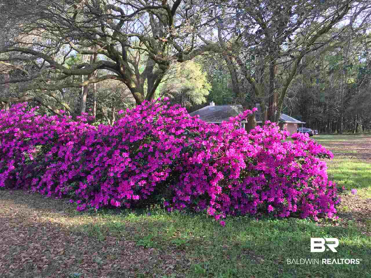 15402 Beasley Road Foley, AL 36535 - Photo 2 of 42 Front Yard