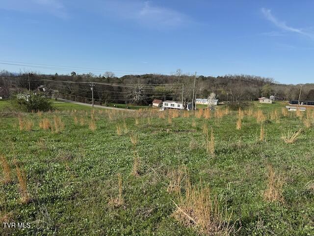 Lot 2 Mcdonald Road, Unit 2 Midway, TN 37809 - Photo 5 of 7 IMG_0425