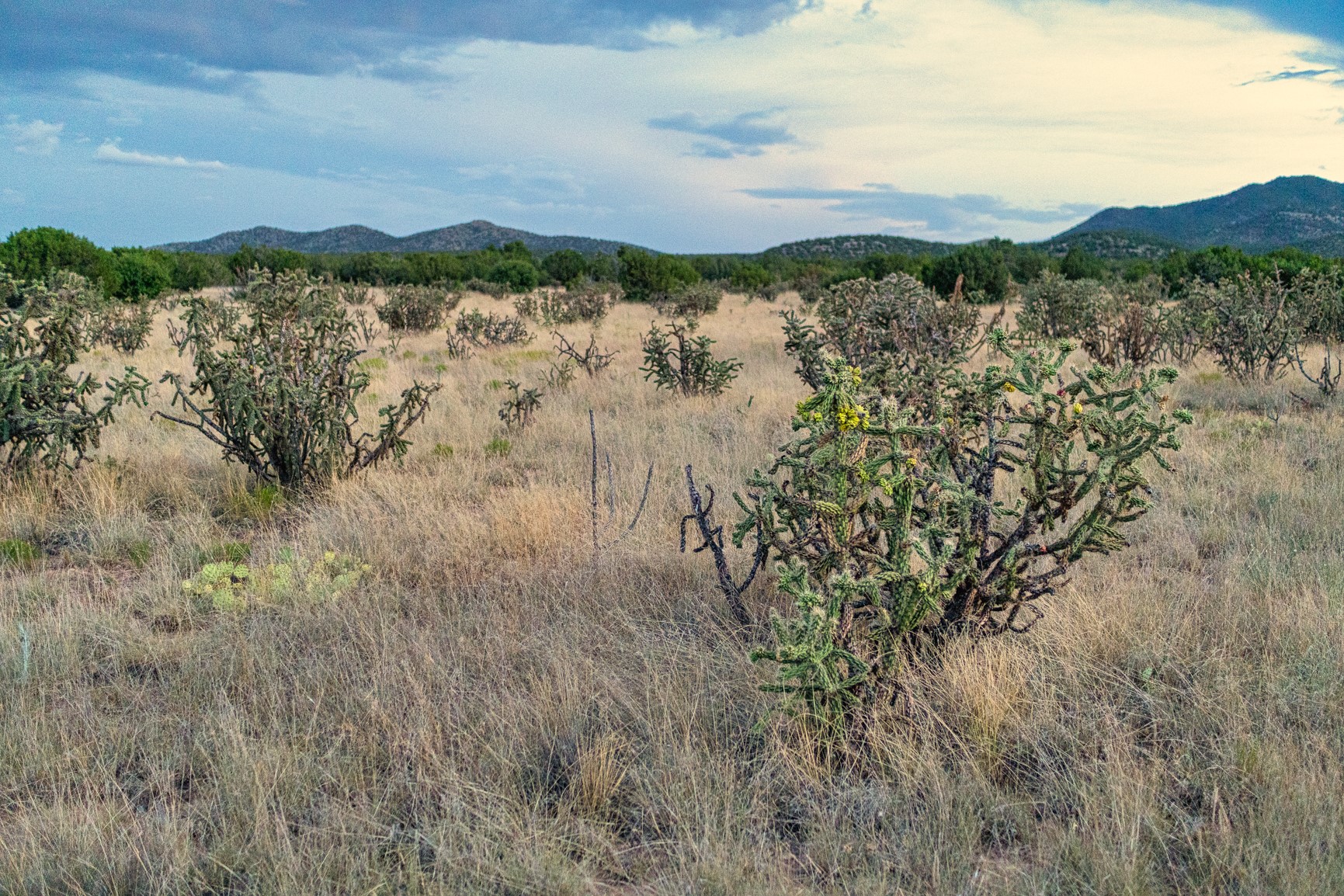 509 Gold Mine Road Cerrillos, NM 87010 - Photo 8 of 20