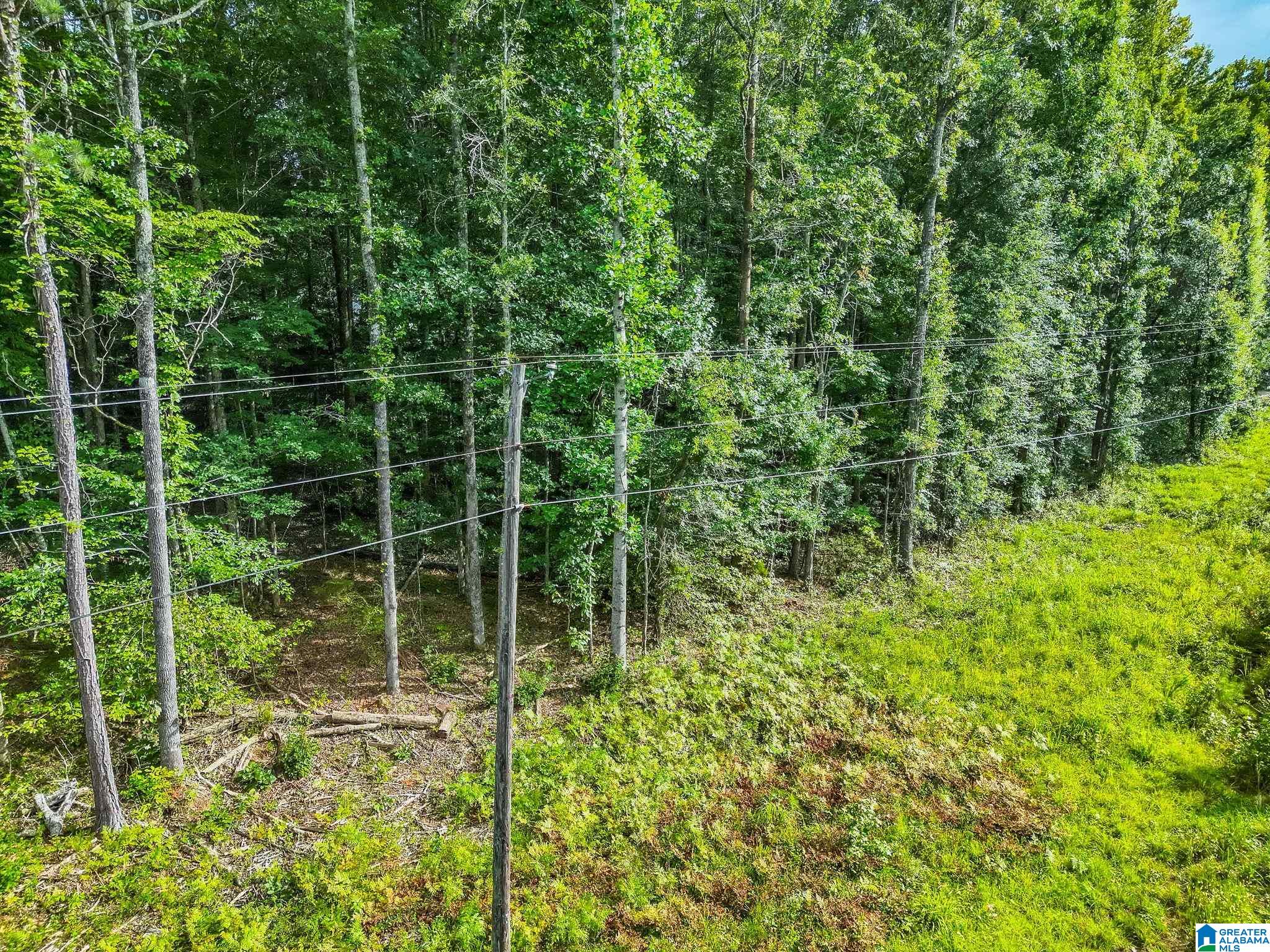 520 County Road, Unit 20 Verbena, AL 36091 - Photo 17 of 19