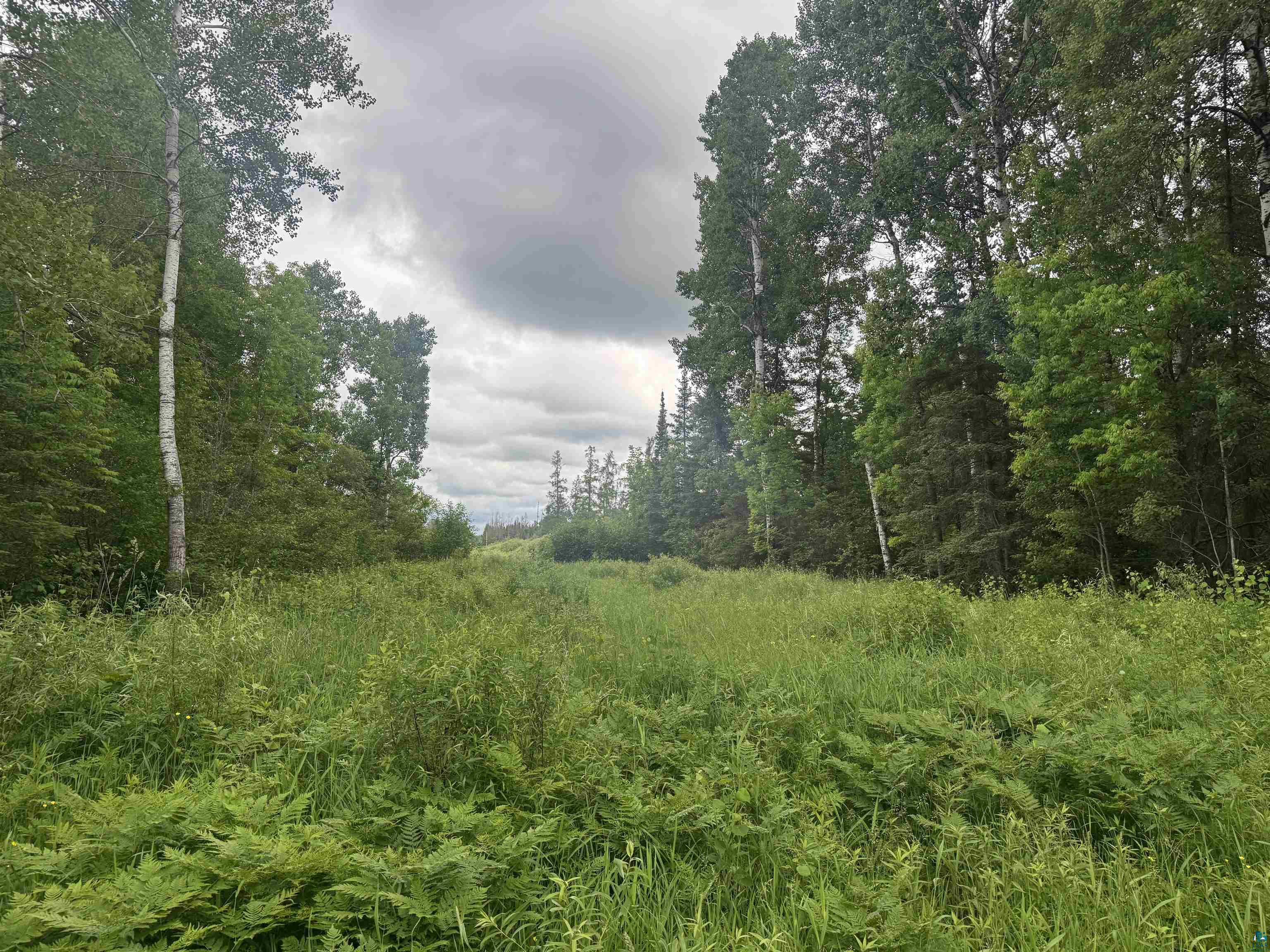 3-xxx Quaal Road Forbes, MN 55738 - Photo 11 of 26