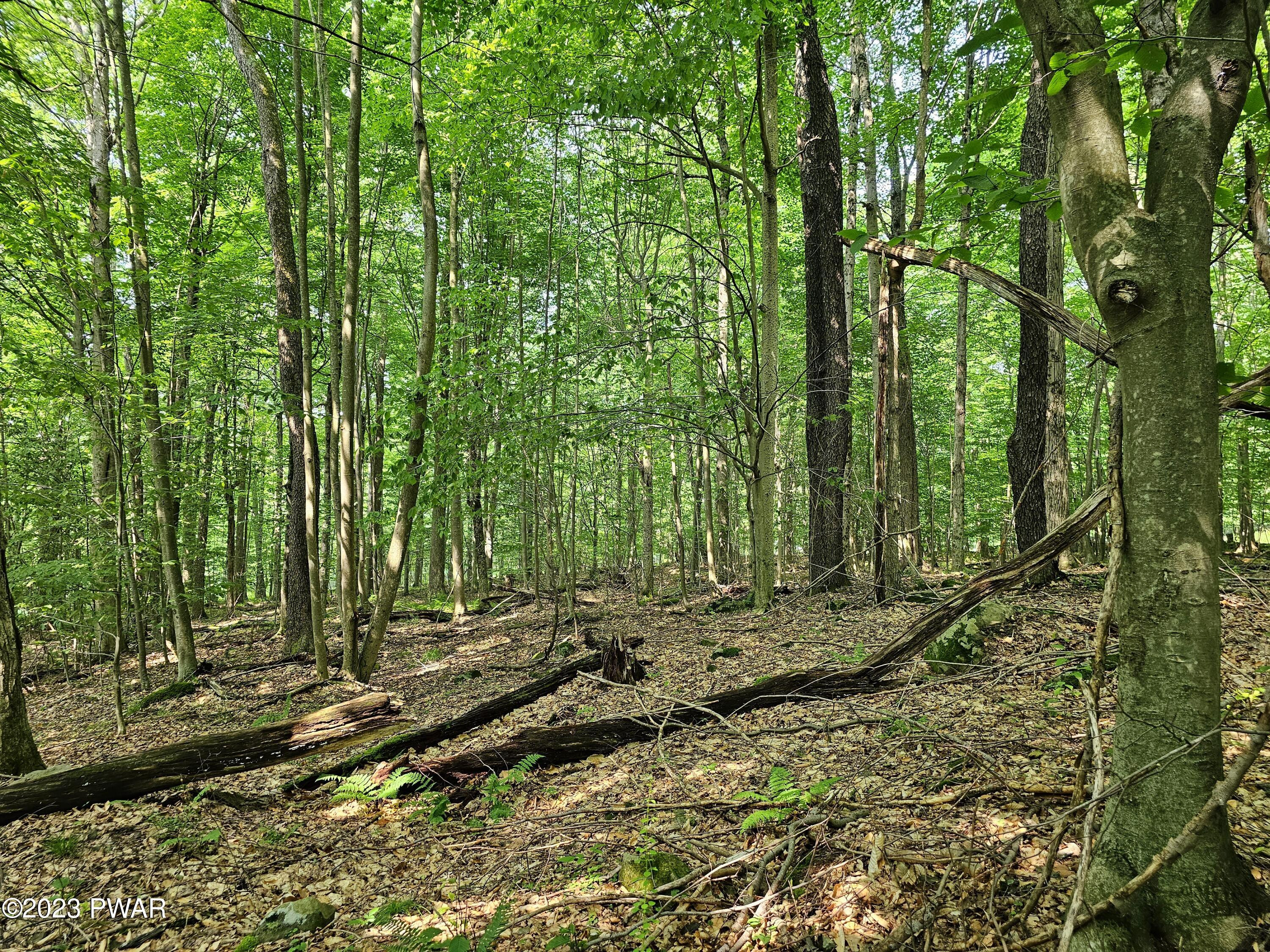 Lot 61 Rock Run Road Damascus, PA 18415 - Photo 8 of 56