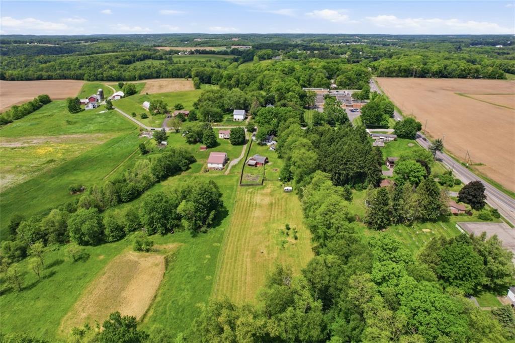 108 Connoquenessing School Road Connoquenessing, PA 16027 - Photo 48 of 50 an aerial view of huge green field with lots of green plants in it